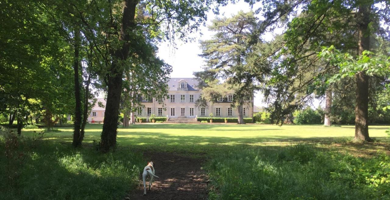 Candé-sur-Beuvron Colivault Bed & Breakfast エクステリア 写真
