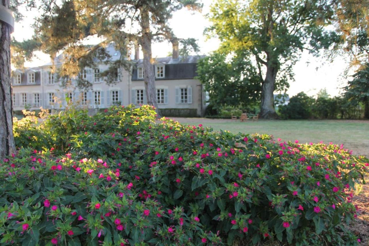 Candé-sur-Beuvron Colivault Bed & Breakfast エクステリア 写真