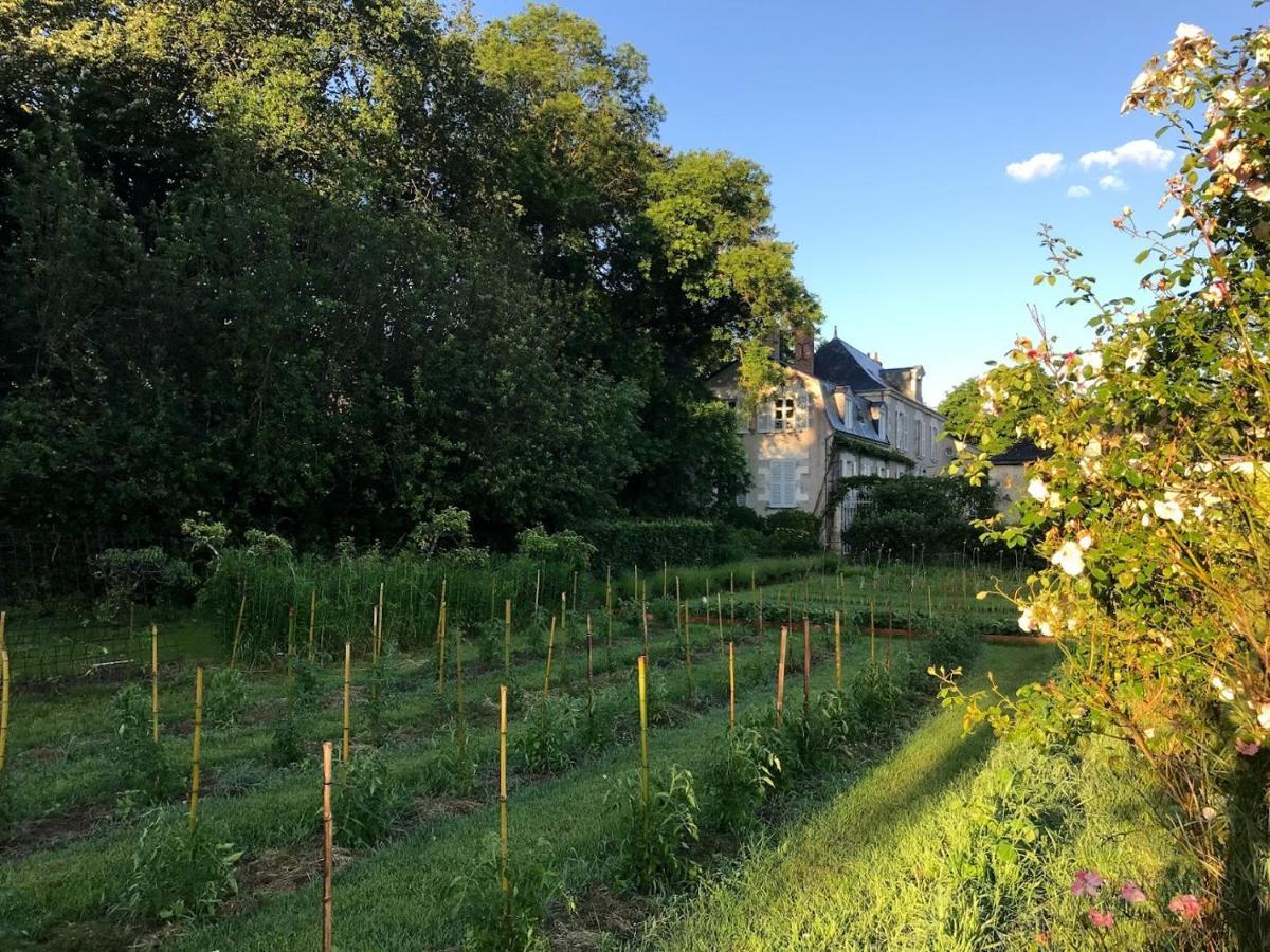 Candé-sur-Beuvron Colivault Bed & Breakfast エクステリア 写真