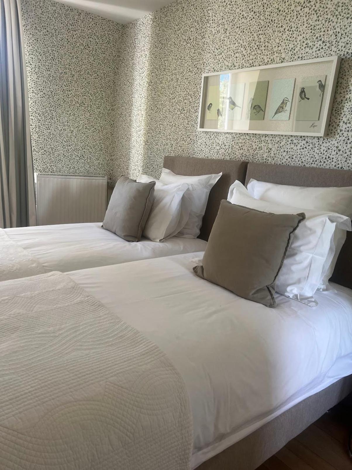 Candé-sur-Beuvron Colivault Bed & Breakfast エクステリア 写真